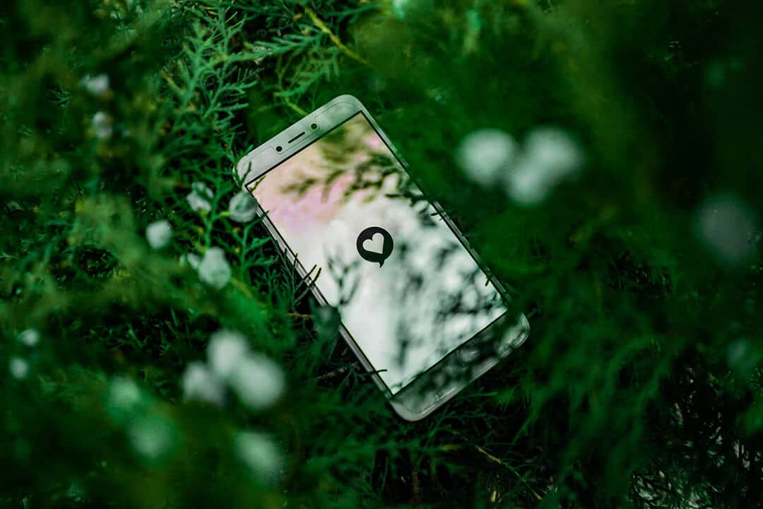 mobile phone left among wild grass